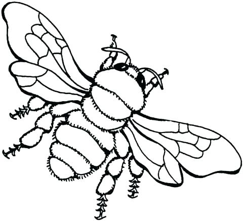 480x437 Coloring Page Bee Cartoon Bee Flower A Page To Print Out