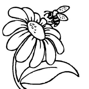 300x300 Mr Bee And A Daisy Flower Coloring Page Mr Bee And A Daisy Flower