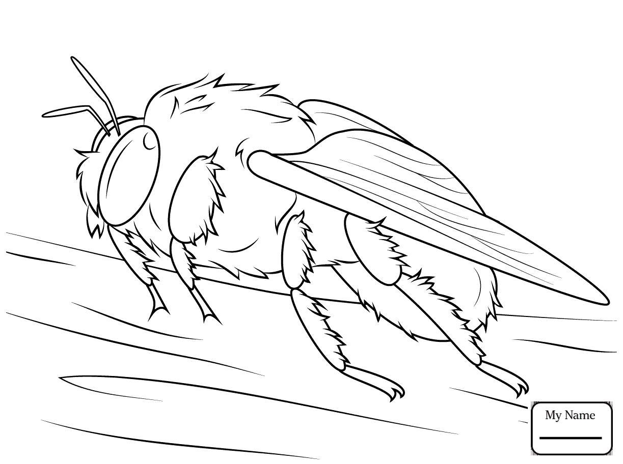 1223x912 Insects Bees A Flower Pollinated By A Bee Bees Coloring Pages