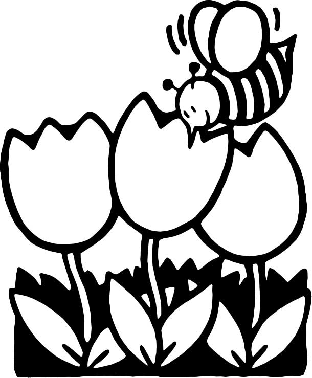 610x739 Bee Coloring Pages