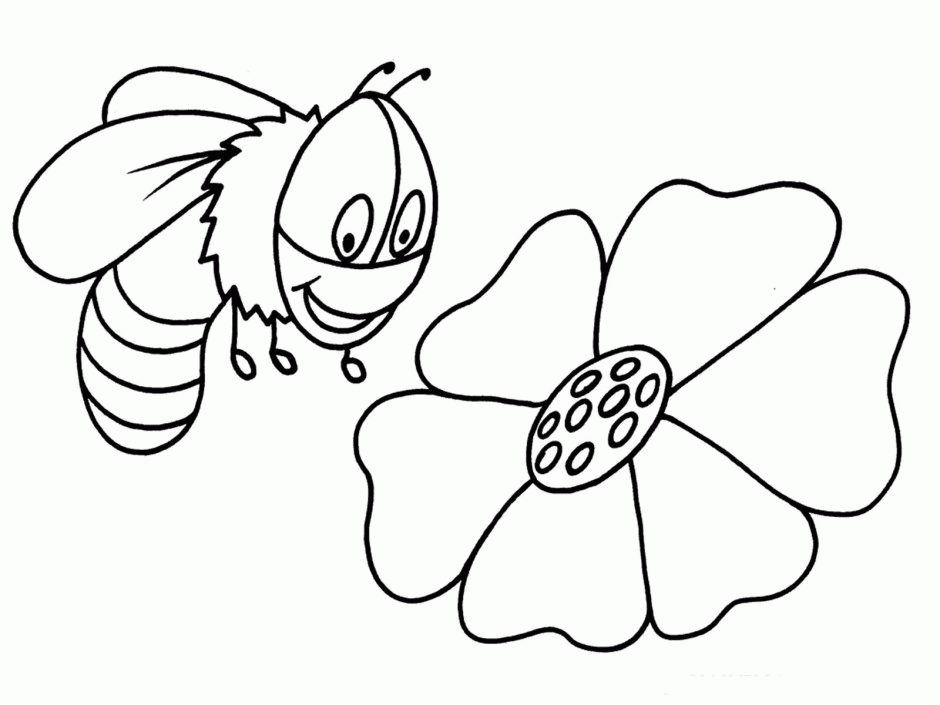 940x705 Bumble Bee Outline 553121