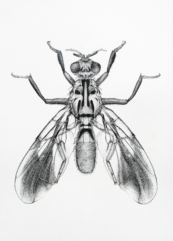 600x837 Scientific Illustration On Behance