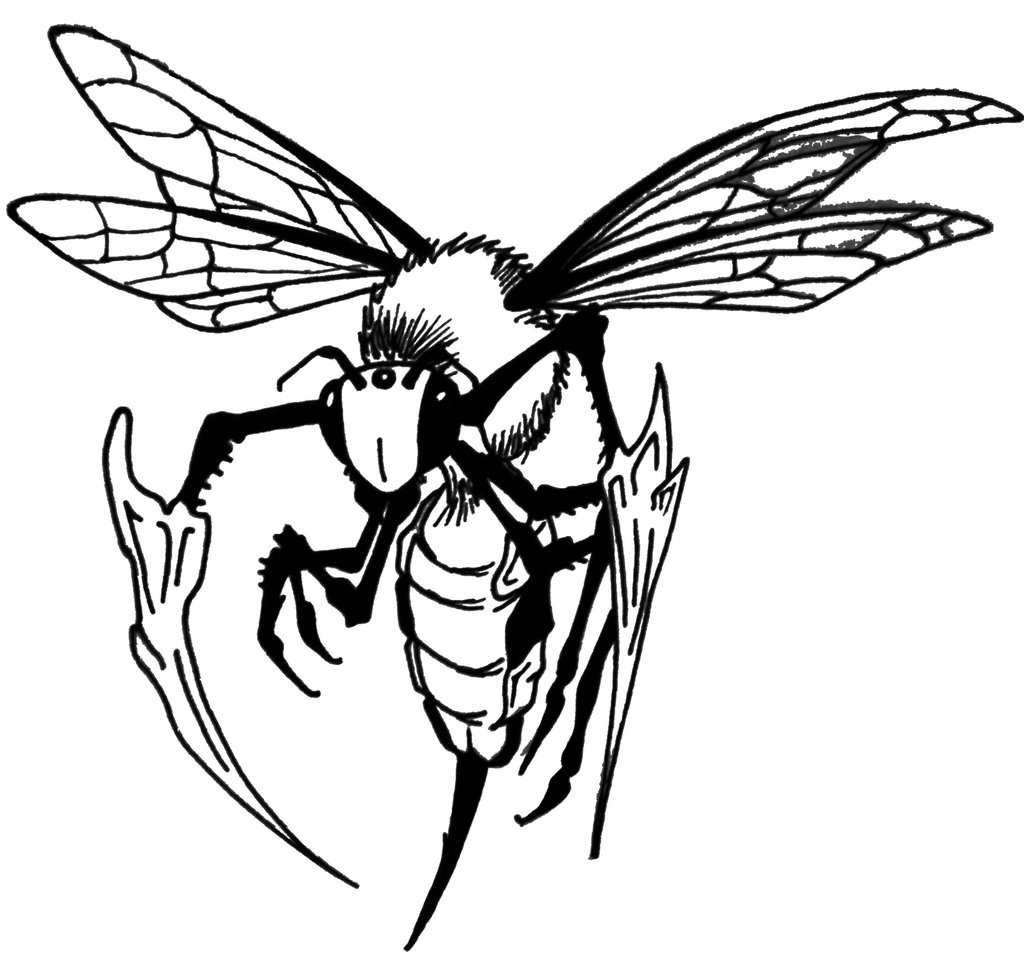 1024x970 Collection Of Line Art Bee Tattoo Design
