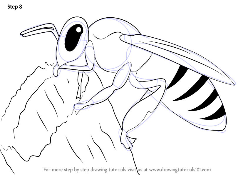 844x595 Simple Honey Bee Drawing