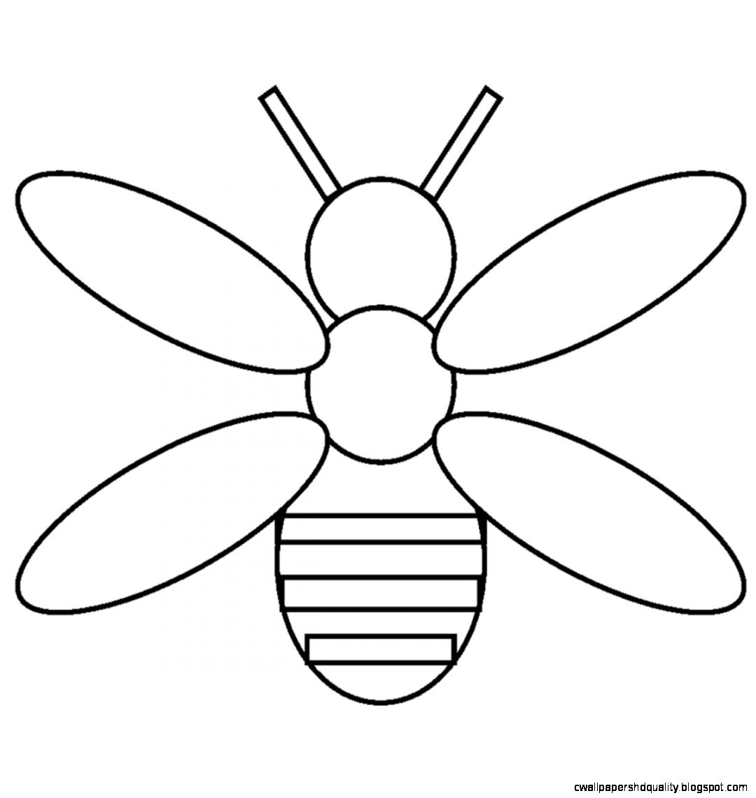 1080x1140 Simple Insect Drawing Wallpapers Hd Quality