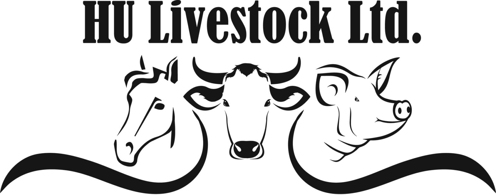 1600x629 Beef Hulivestock