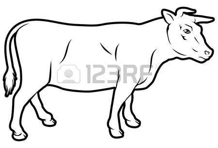 450x307 An Illustration Of A Cow, Could Be A Label For Beef Royalty Free