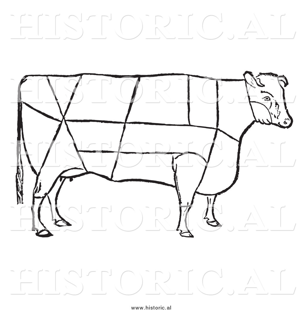 1024x1044 Clipart Of A Cow With Beef Cuts Outlined