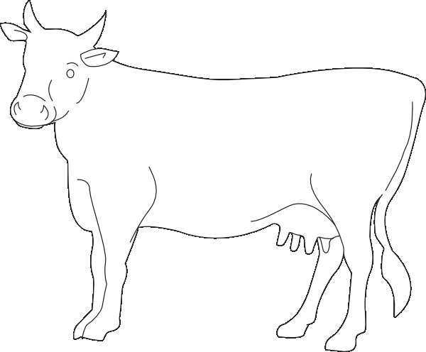 600x496 Beef Coloring Pages