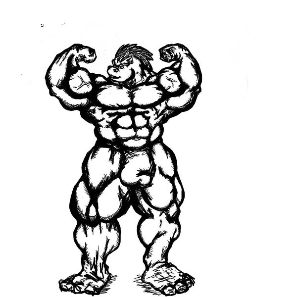 600x600 Bowser Beef By Setrak