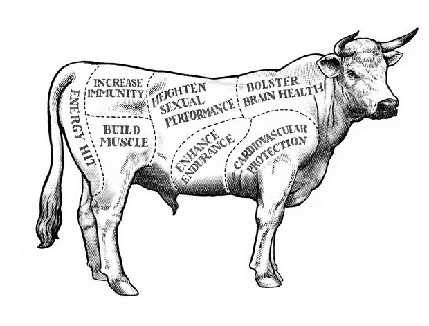 Beef Drawing at GetDrawings | Free download