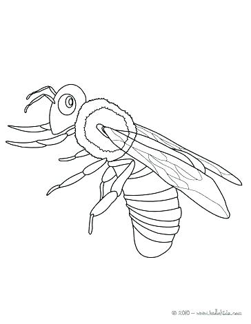 364x470 Honey Bee Coloring Page Cortefocal.site