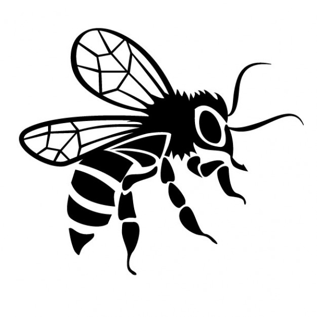 626x626 Black Bee Drawing Vector Image Drawings Bee
