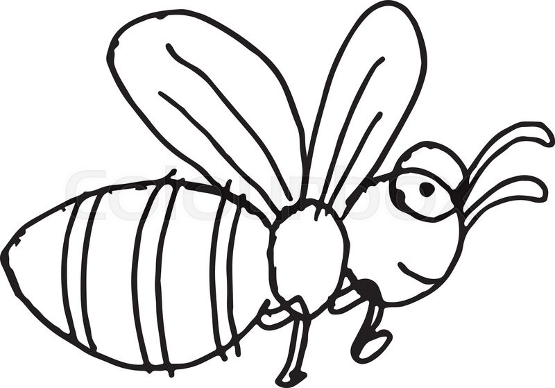 800x559 Freehand Sketch Illustration Of Bee Doodle Hand Drawn In Kid Style