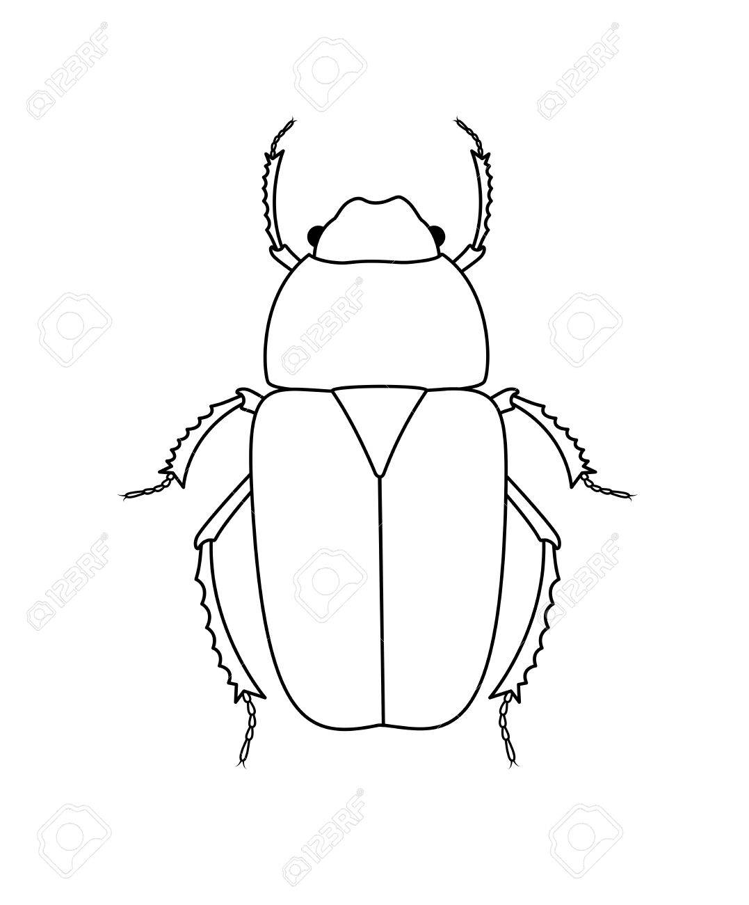 1077x1300 Drawing Art Of Beetle Insect Royalty Free Cliparts, Vectors,
