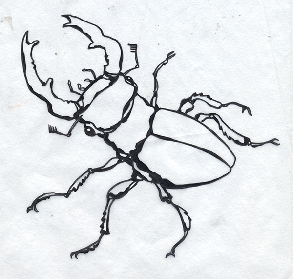 600x571 Apparel Collection Beetle Blocks By Deviantwear