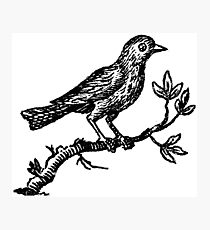 210x230 Beggar Drawing Photographic Prints Redbubble