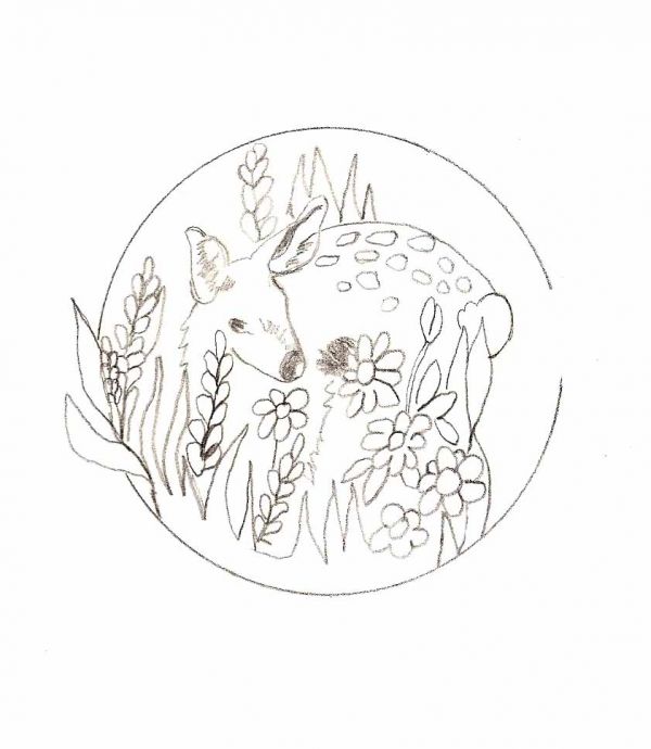 600x690 Simple Animal Drawings For Beginners