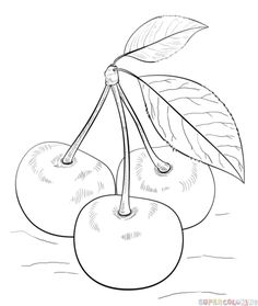 236x279 How To Draw A Bowl Of Fruits Step By Step Drawing Tutorials