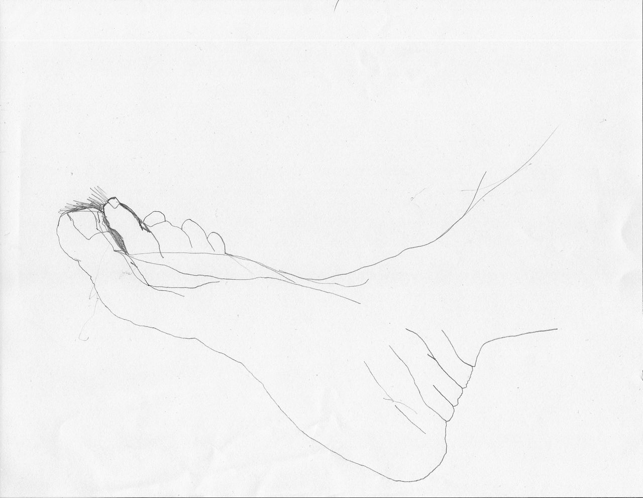 1280x990 Learning How To Draw (1) Beginning(S) Aletheia Dia Soma