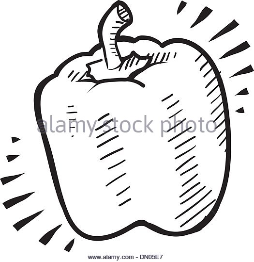 525x540 Drawing Green Bell Pepper Stock Photos Amp Drawing Green Bell Pepper