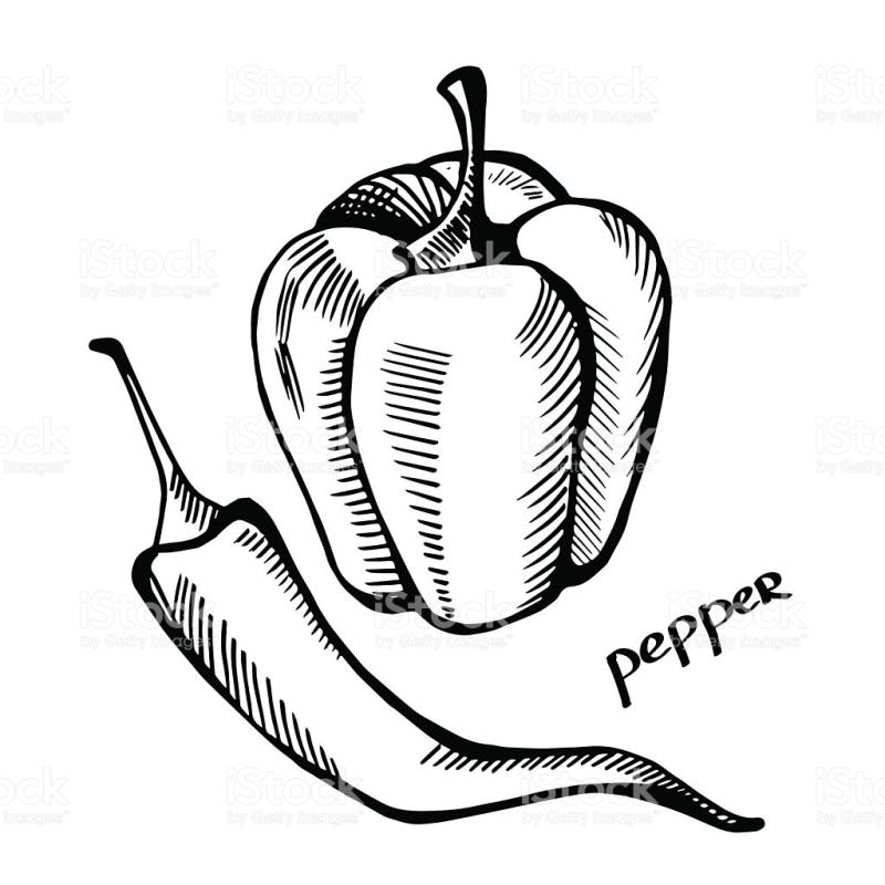800x800 Bell Pepper Clipart Black And White