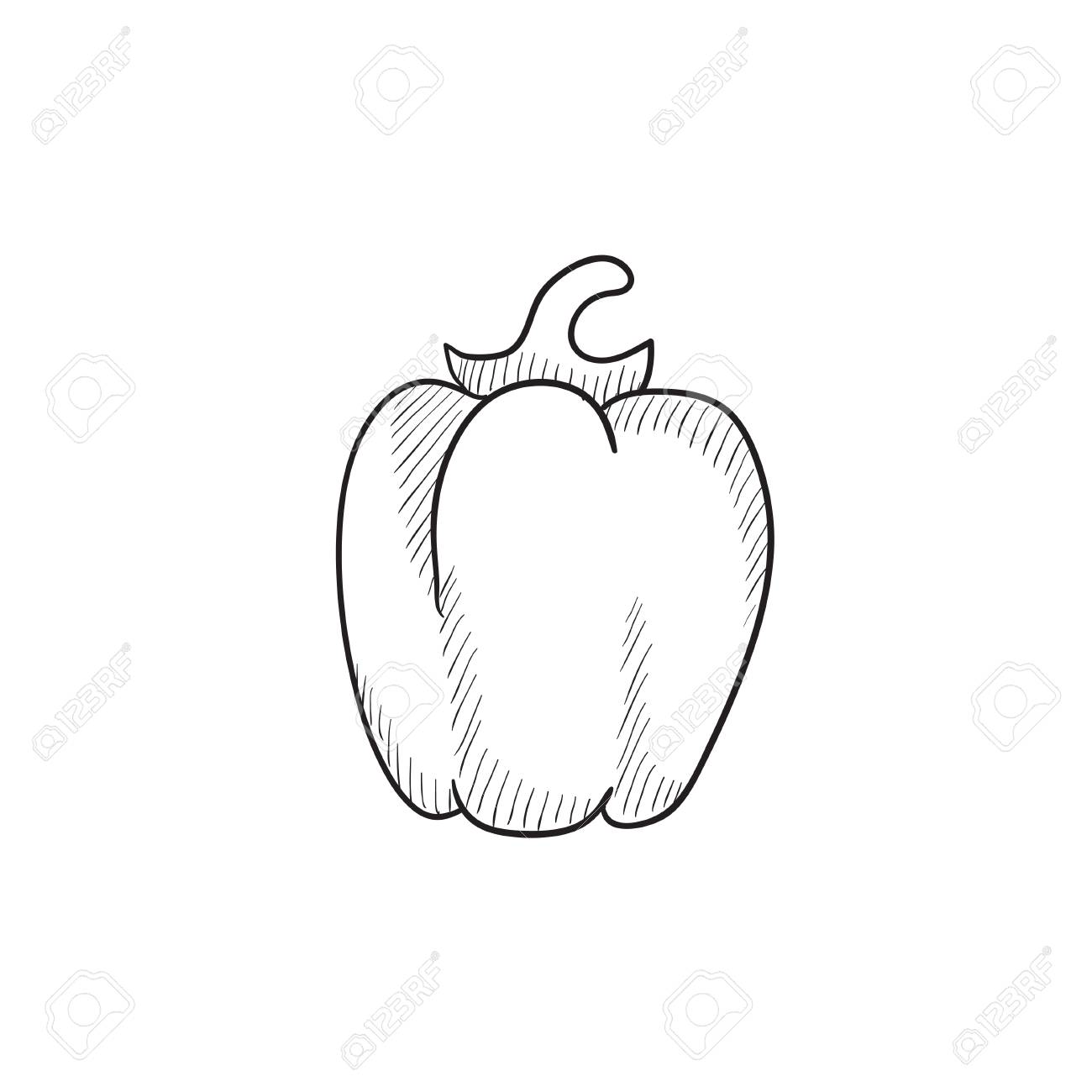 1300x1300 Bell Pepper Vector Sketch Icon Isolated On Background. Hand Drawn