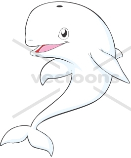 265x320 Smiling Beluga Whale Illustration