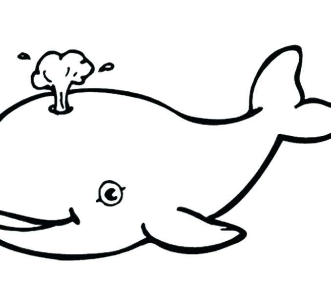678x600 Whale Color Page Beluga Whale Coloring Pages Jonah And The Whale