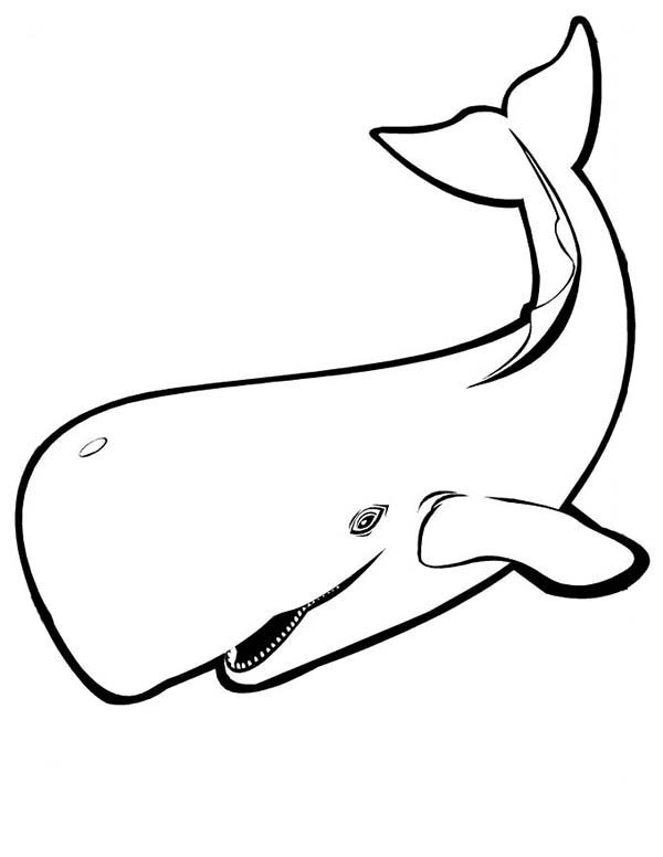 600x776 Whale Coloring Pages