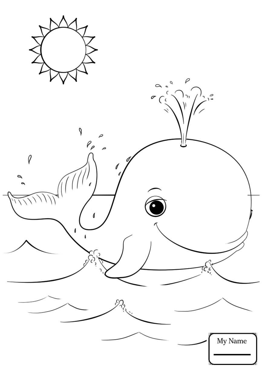 866x1224 Coloring Pages For Kids Beluga Whale Mammals Whales