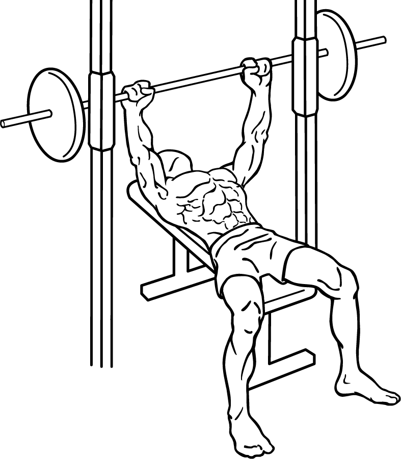 787x900 Filebench Press 3 1.png