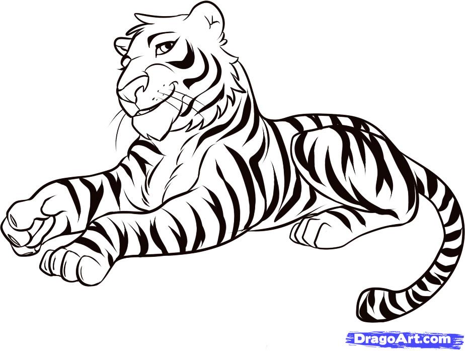 Bengal Tiger Drawing at GetDrawings | Free download