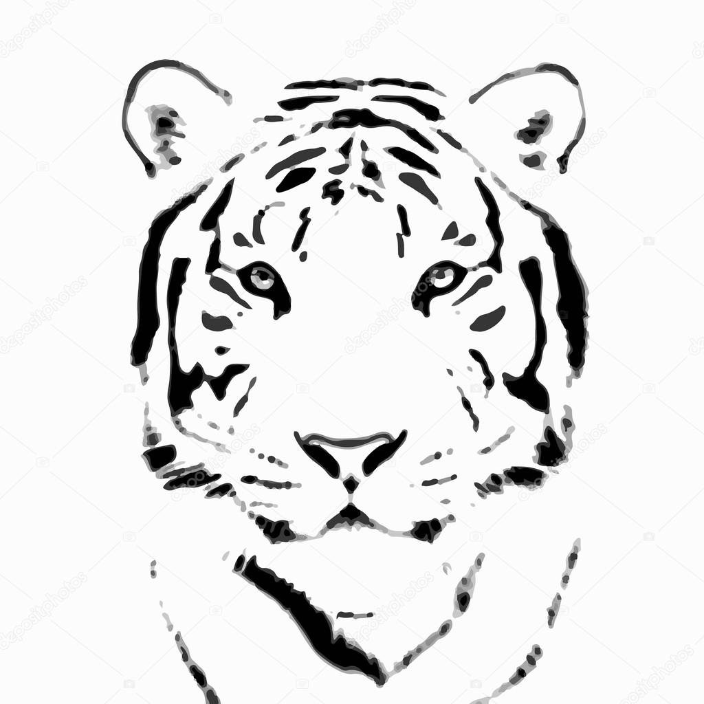 1024x1024 Bengal Tiger Sketch Silhouette, Isolated On White Background