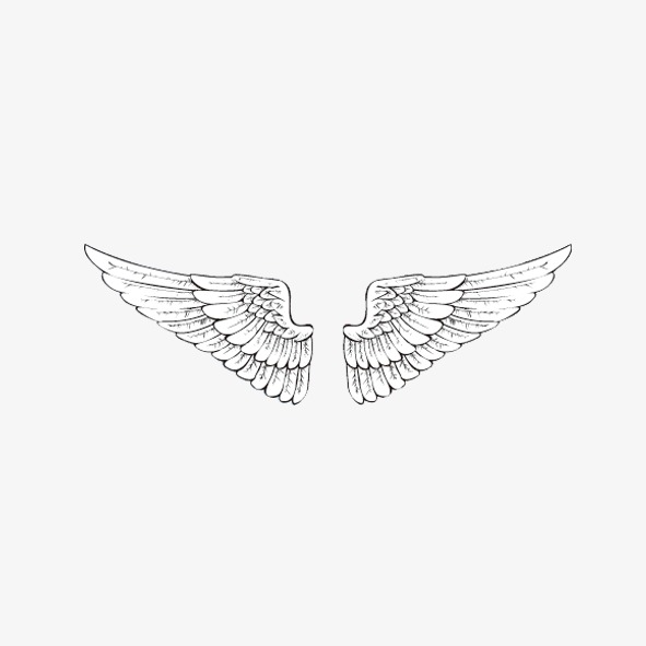 591x591 Wing, White Wings, Solid Wings Png Image For Free Download