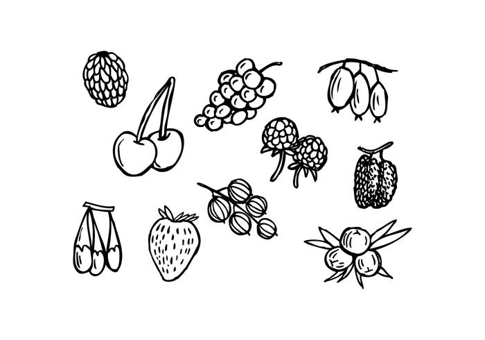 700x490 Free Berries Hand Drawn Icon Vector