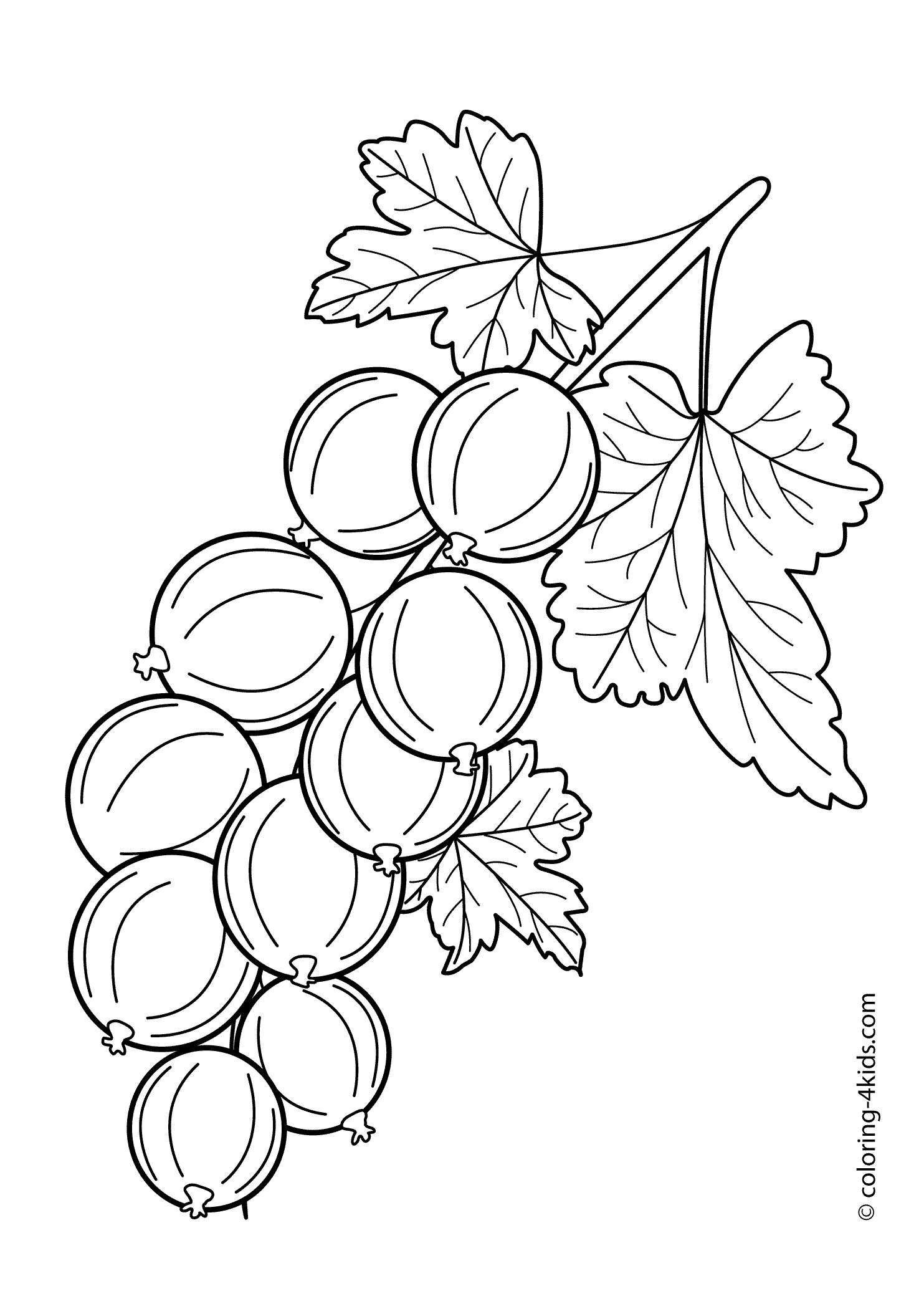 1483x2079 Gooseberry Fruits And Berries Coloring Pages For Kids, Printable