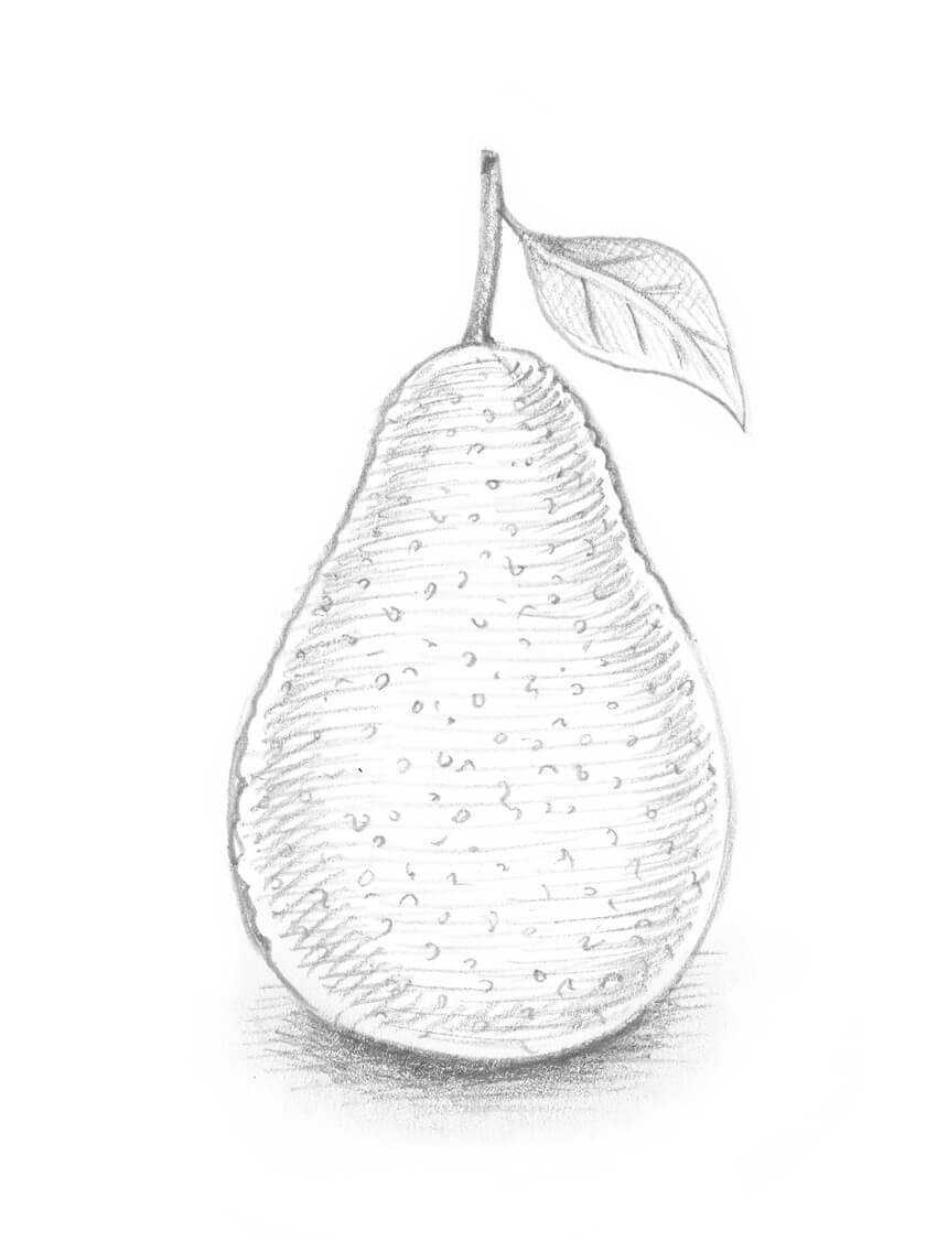 850x1126 How To Draw 10 Different Varieties Of Berry