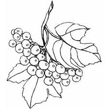 225x225 Berries Berry Coloring Pages To Girls Color Udin