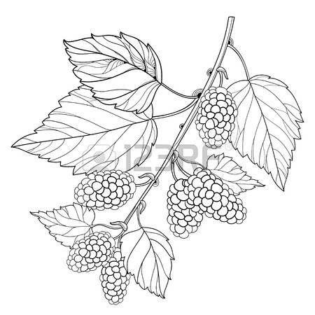 450x450 Outline Cupcake With Strawberry Ripe Berry In Black Isolated