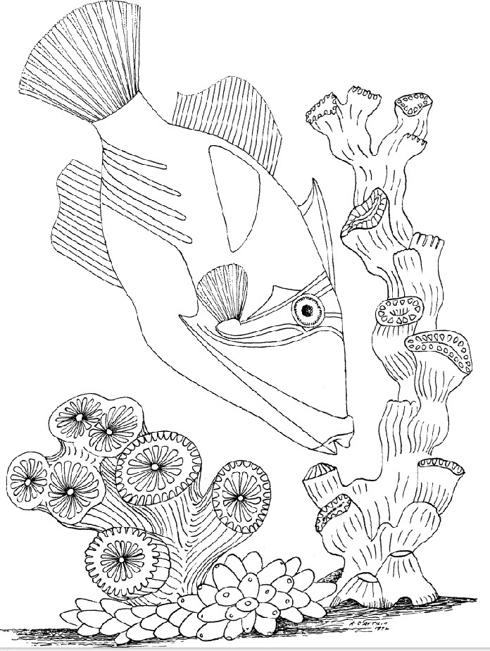 696x924 Kids Under 7 Underwater World Coloring Pages