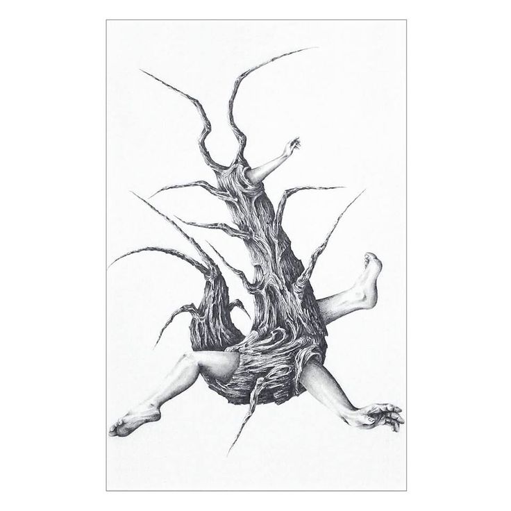 736x736 12 Best My Human Bugs Drawings Images On Bugs