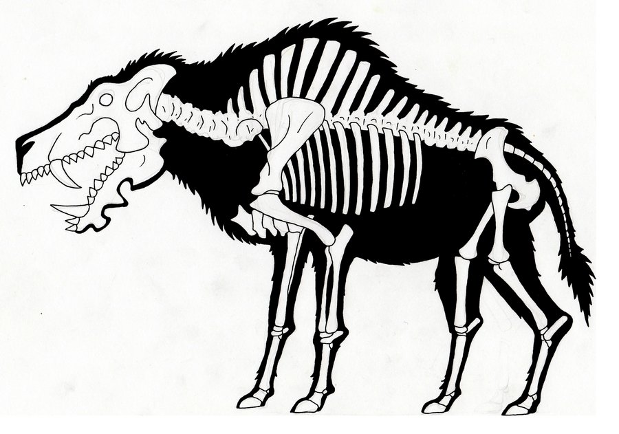 900x631 4 Best Friends Drawing