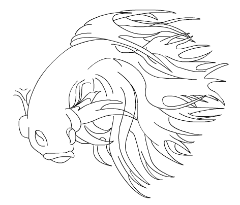 472x404 Drawing Of Betta Tropical Fish Forums