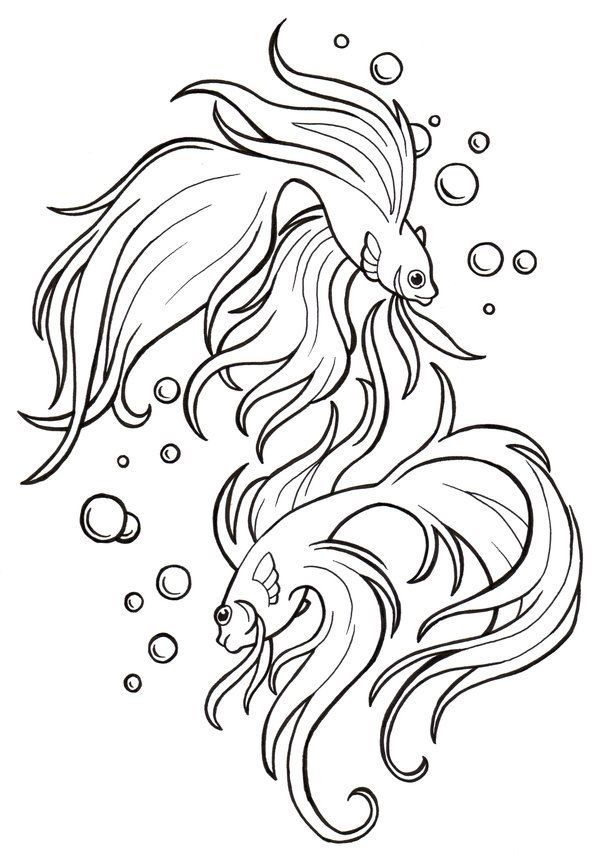 600x857 Betta Fish Coloring Pages
