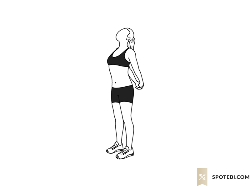 800x600 Biceps Stretch Illustrated Exercise Guide