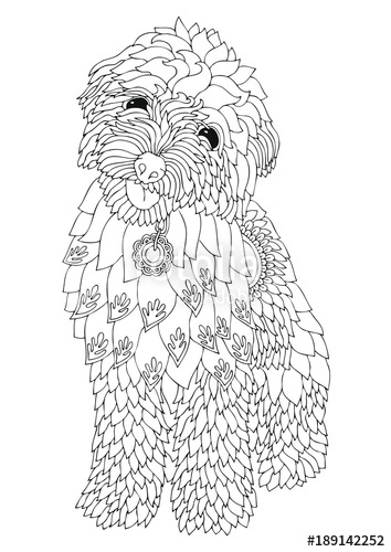 354x500 Bichon Frise Puppy. Hand Drawn Dog. Sketch For Anti Stress Adult