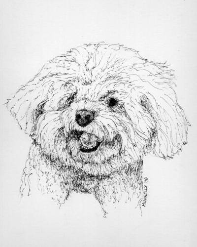 400x500 He's Gone To The Dogs