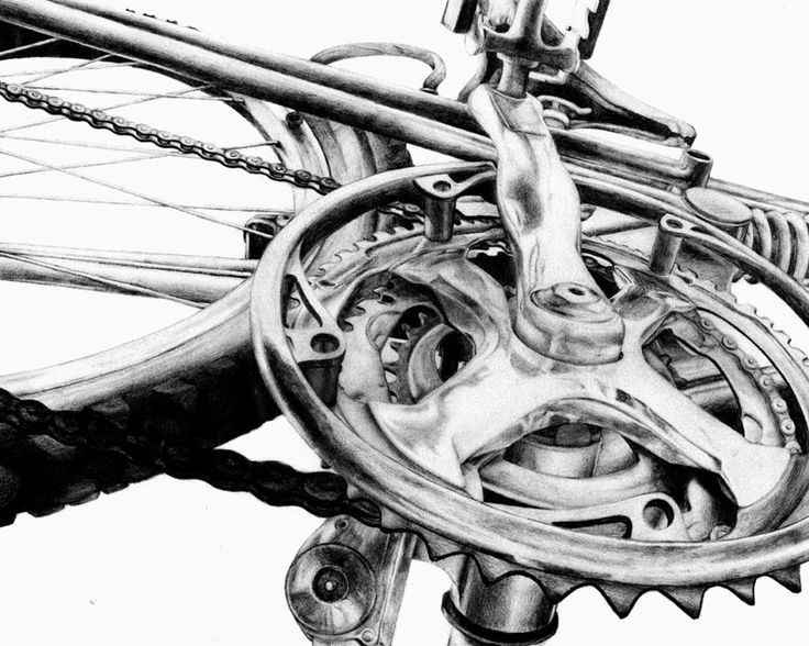 736x588 Drawing Bicycle Study