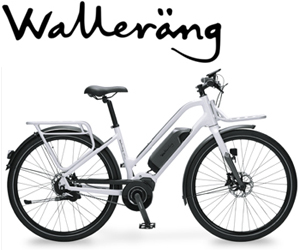 300x250 Becky's Bikes Chicago's Electric Bike Shop To Find Blix,bulls